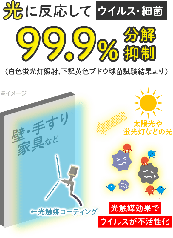 光に反応してウイルス・細菌99.9%分解抑制