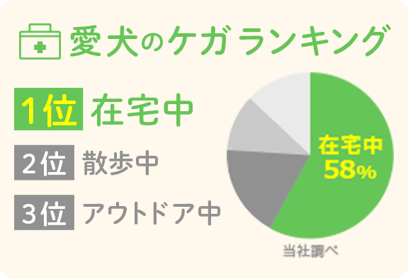 愛犬のケガ　ランキング