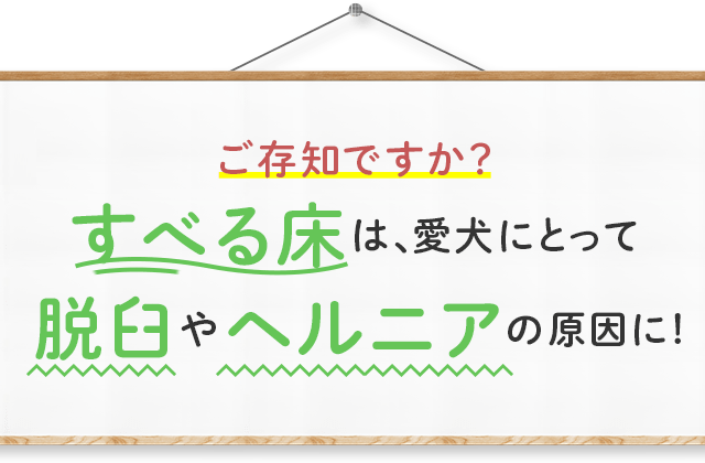 すべる床は、愛犬にとって脱臼やヘルニアの原因に!