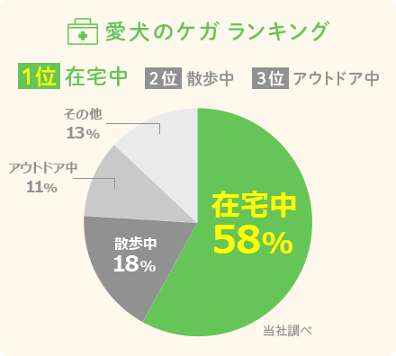 愛犬のケガ　ランキング