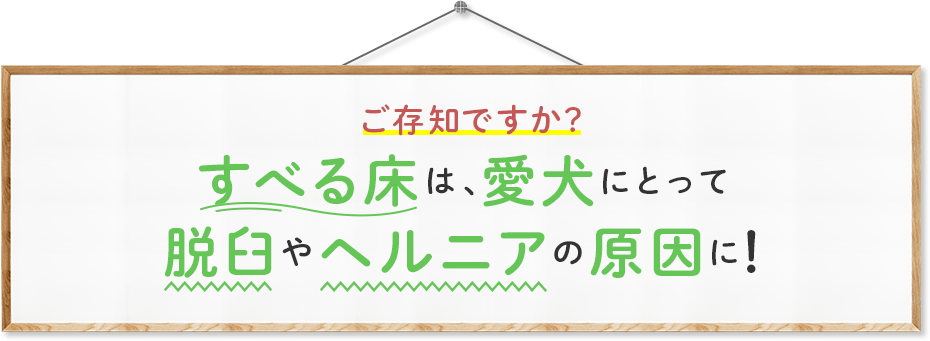 すべる床は、愛犬にとって脱臼やヘルニアの原因に!