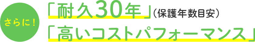 さらに「耐久30年」(保護年数目安)「高いコストパフォーマンス」