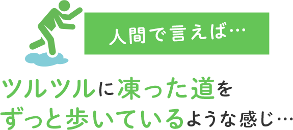 人間で言えば…ツルツルに凍った道をずっと歩いているような感じ…