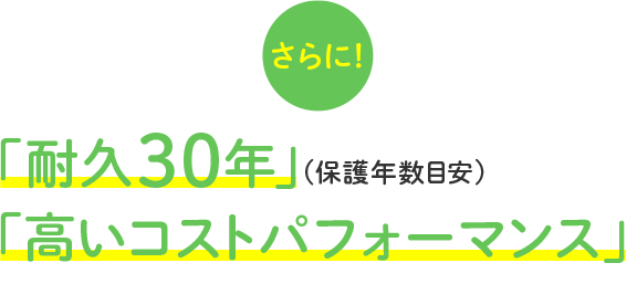 さらに「耐久30年」(保護年数目安)「高いコストパフォーマンス」